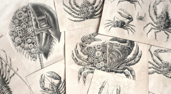 Mechanical Biological studies by Steeven Salvat