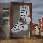Artist-creates-giant-butterflies-on-super-realistic-panels-5a020b019bc6b__880