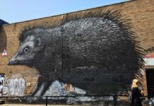The Mysterious World of ROA
