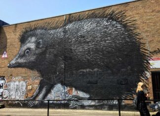 The Mysterious World of ROA