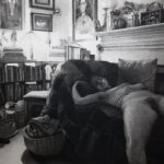 artistrealm_rnegron_WWDITS